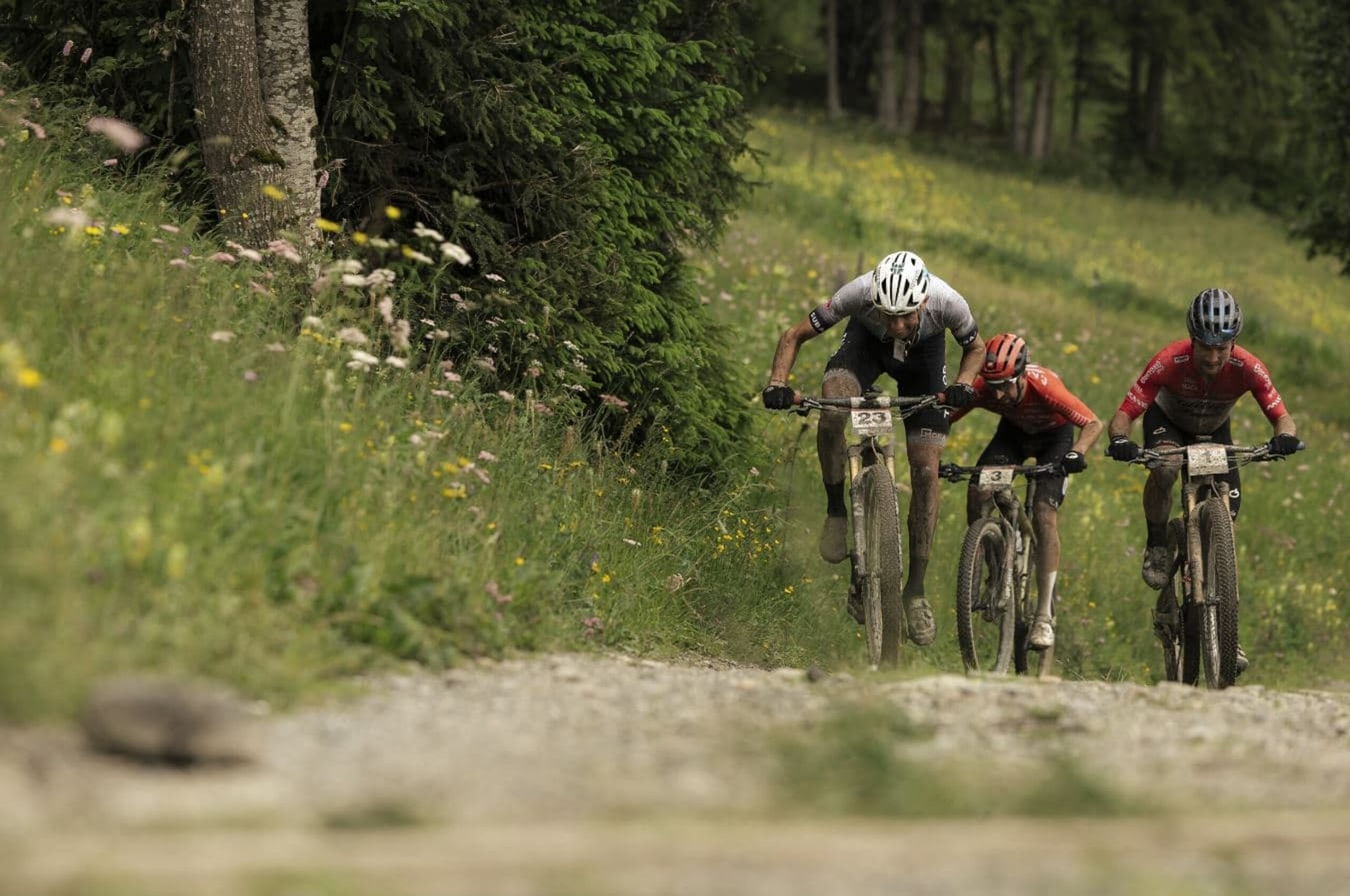 Mountain Bike XCM Race
